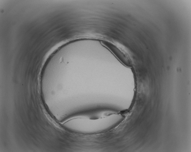 X0000083641238200703121711