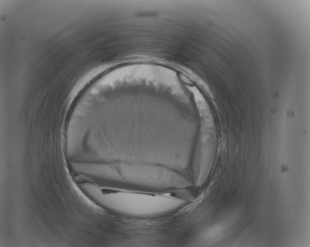 X0000083641239200703121711