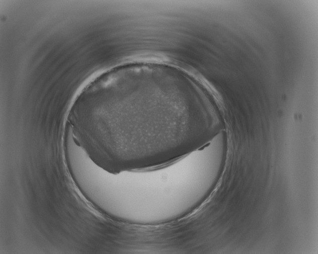 X0000083641240200703121711