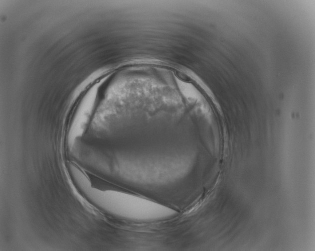 X0000083641245200703121711