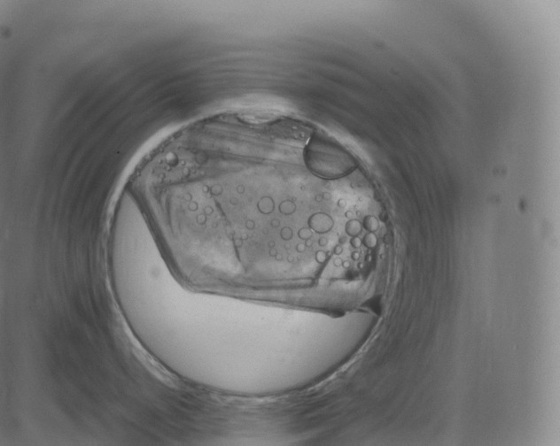 X0000083641248200703121711