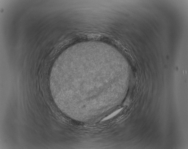 X0000083641249200703121711