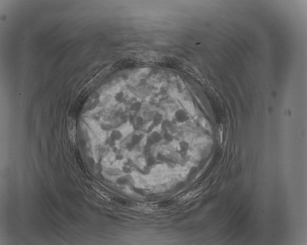 X0000083641251200703121711