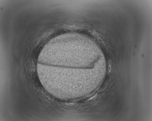 X0000083641253200703121711