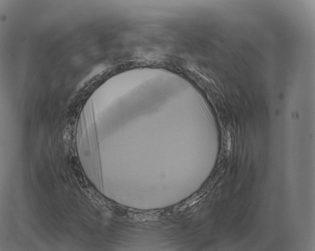 X0000083641254200703121711