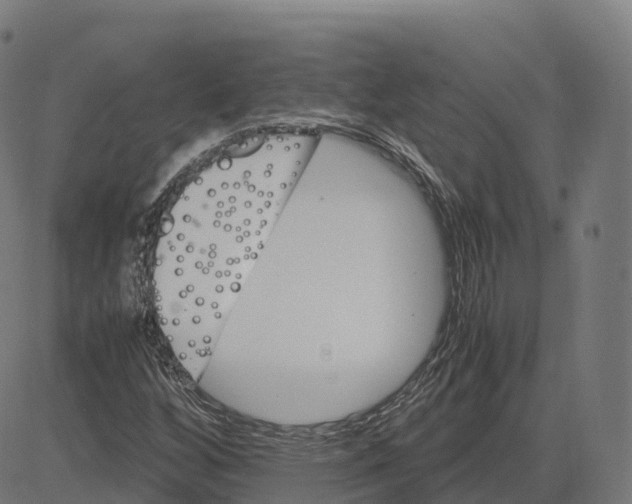 X0000083641256200703121710