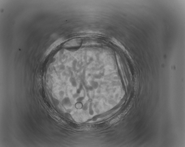 X0000083641259200703121710