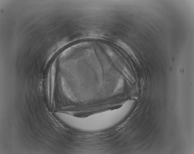 X0000083641260200703121710