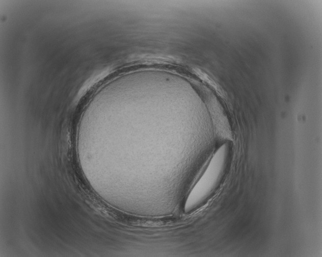 X0000083641261200703121710