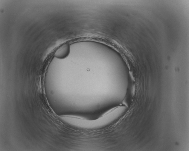 X0000083641262200703121710