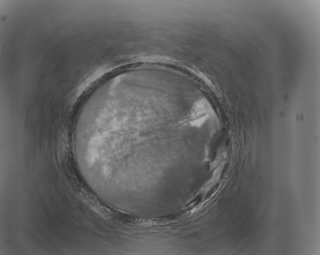 X0000083641263200703121710