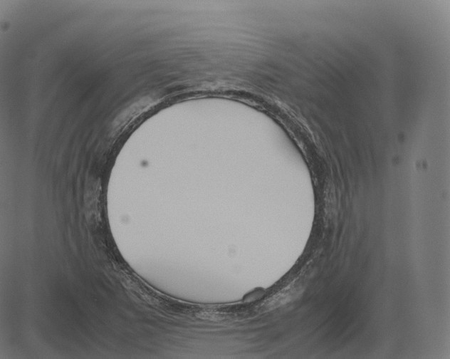 X0000083641265200703121710