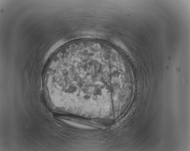 X0000083641267200703121710