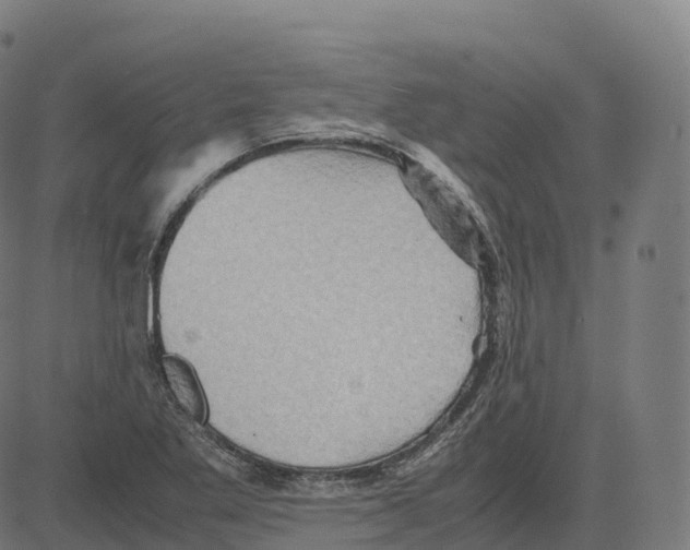 X0000083641269200703121710