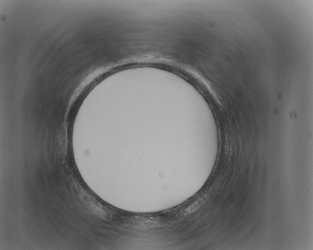 X0000083641270200703121710