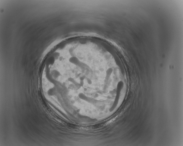 X0000083641271200703121710