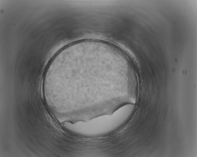 X0000083641272200703121710