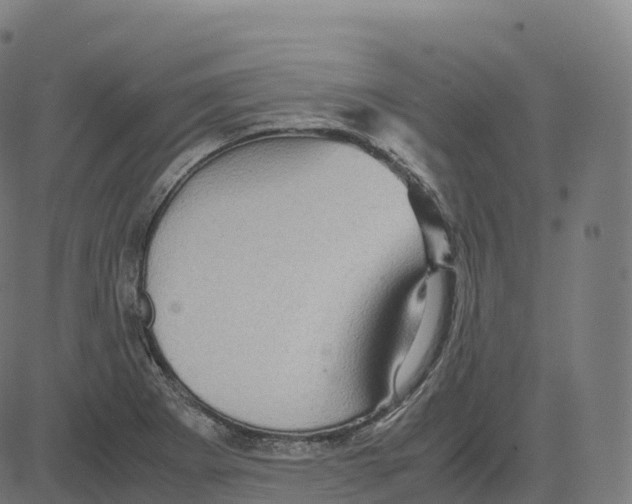 X0000083641273200703121710