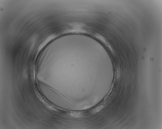 X0000083641274200703121710