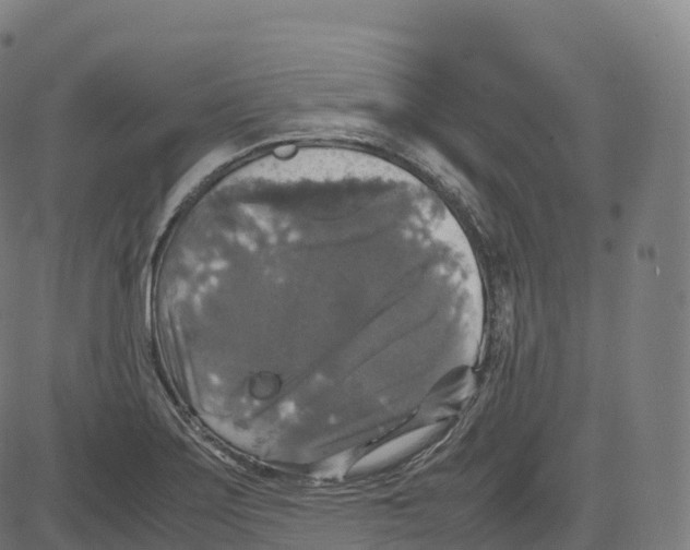 X0000083641275200703121710