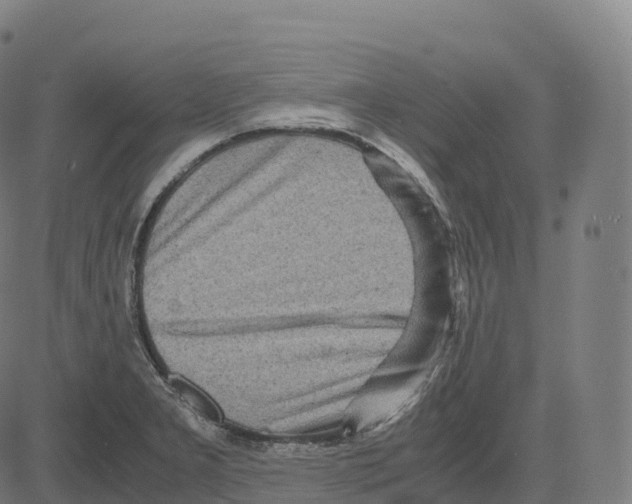 X0000083641277200703121710