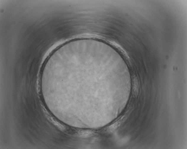 X0000083641278200703121710