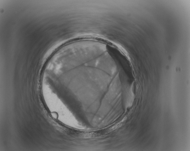 X0000083641279200703121710