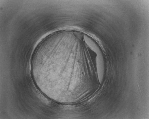 X0000083641280200703121710