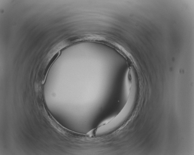 X0000083641281200703121710