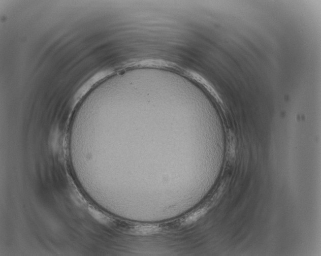 X0000083641282200703121710