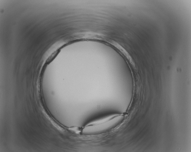 X0000083641285200703121710