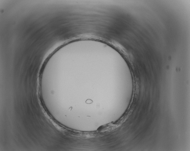 X0000083641286200703121710