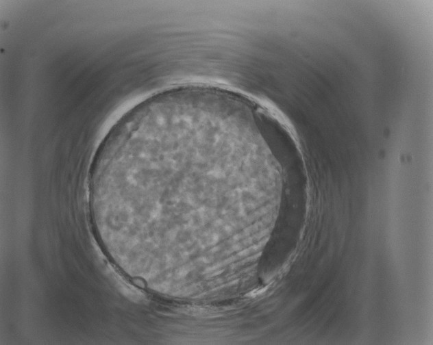 X0000083641287200703121710