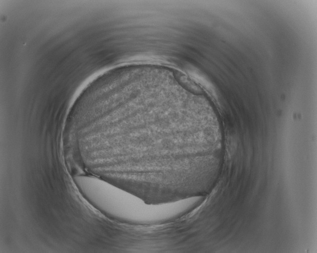 X0000083641288200703121710