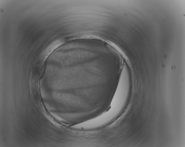 X0000083641289200703121710