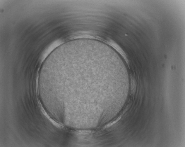 X0000083641290200703121710