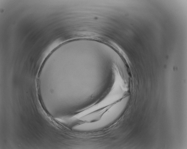 X0000083641291200703121710