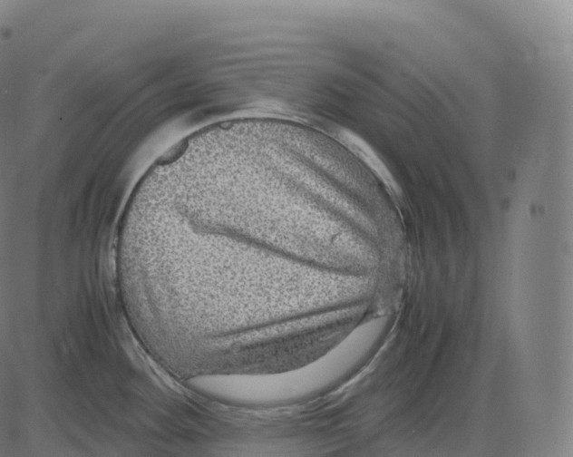 X0000083641292200703121710