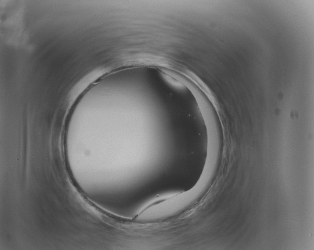 X0000083641293200703121710