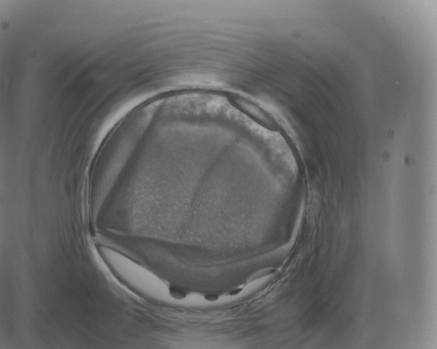 X0000083641295200703121710