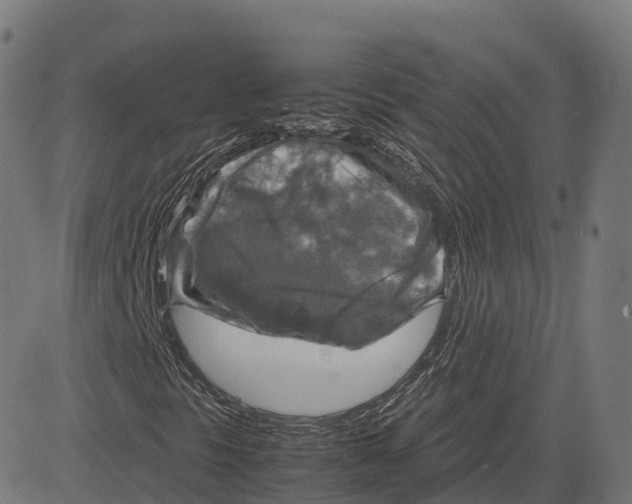 X0000083641297200703121709