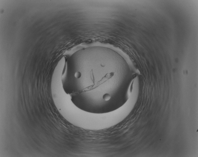 X0000083641298200703121709