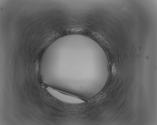 X0000083641299200703121709