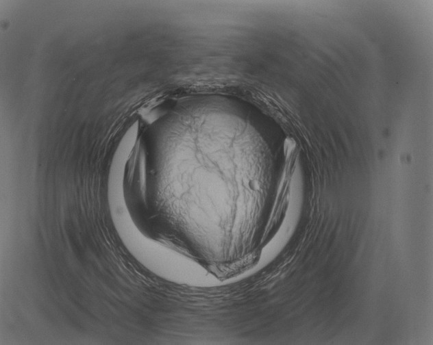 X0000083641300200703121709