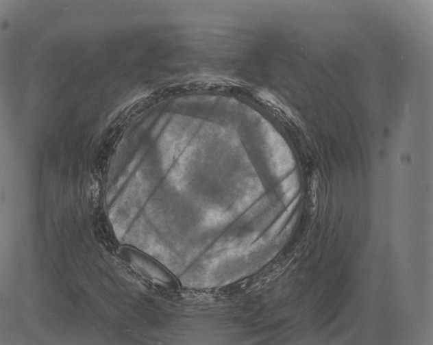 X0000083641302200703121709