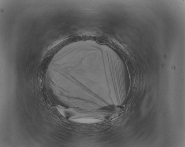 X0000083641303200703121709