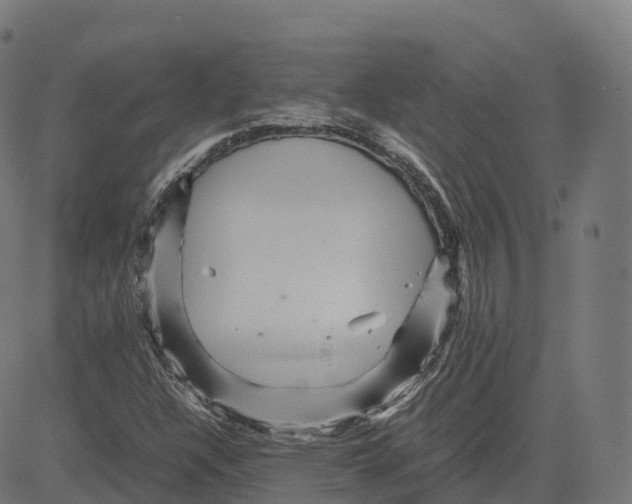 X0000083641304200703121709