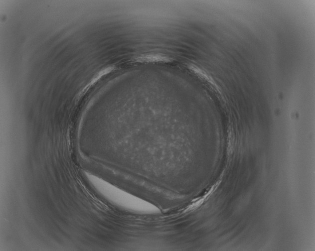 X0000083641305200703121709