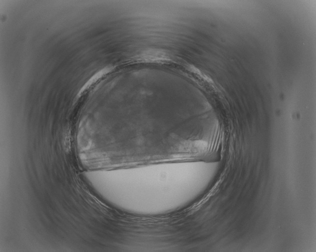 X0000083641306200703121709