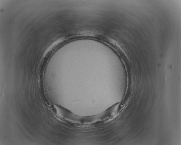 X0000083641307200703121709